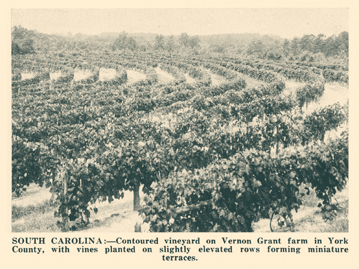 Vernon Grant farm in York County, South Carolina.